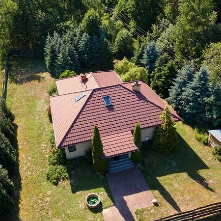 Forest Villa - Pokoje W Poblizu Suntago Krzyzowka  외부 사진